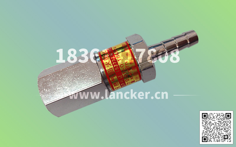 帶插管阻火器-3.jpg