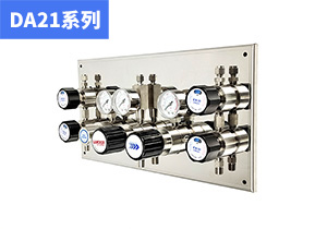 DA21系列雙級(jí)自動(dòng)切換供氣面板（1/4"小流量二級(jí)調(diào)壓）